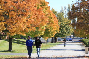 walkway with fall colored trees and students