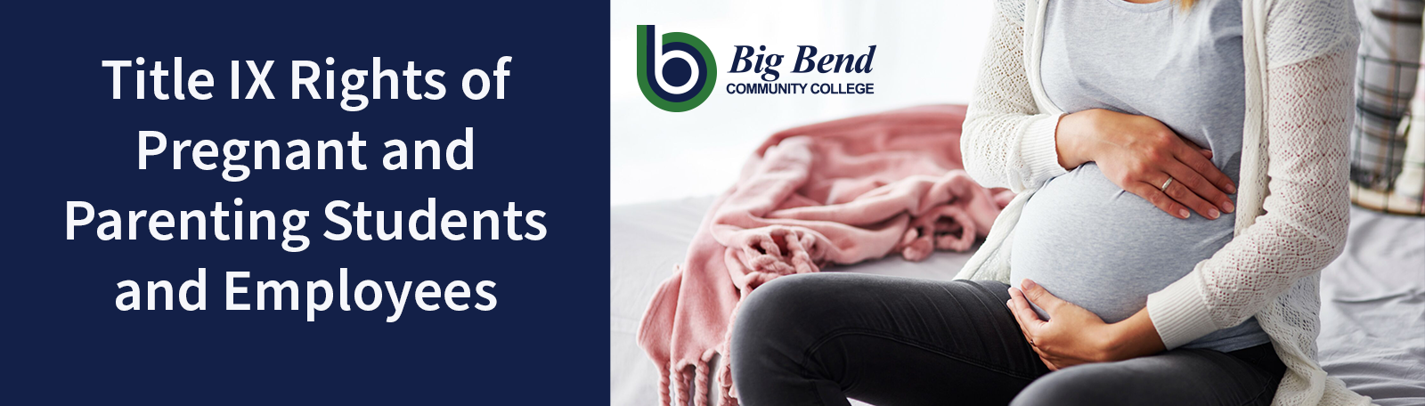 Title IX pregnancy webpage header